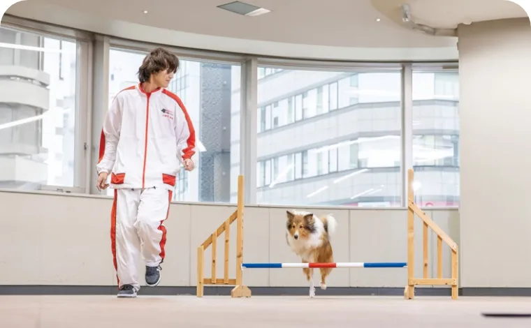 ドックスポーツに挑戦